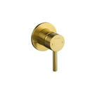 Levo Manual Shower Mixer - Brushed Gold