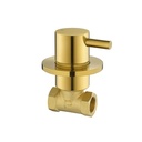 Levo Cold Wall Mounted Shut Off Valve - Brushed Gold