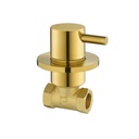 Levo Hot Wall Mounted Shut Off Valve - Brushed Gold
