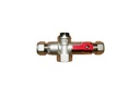 Fast install inlet group incorporating check valve
