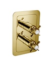 JTP GROV TH CONCEALED 2 OUTLET SH VALVE VERT,