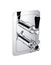 JTP GROV TH CONCEALED 2 OUTLET SH VALVE, VERT