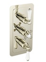 JTP GROV TH CONCEALED 3 OUTLET SH VALVE, VERT