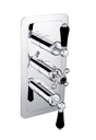 JTP GROV TH CONCEALED 3 OUTLET SH VALVE, VERT