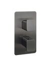 JTP HIX TH CONCEALED 1 OUTLET SH VALVE
