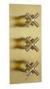 JTP SOLEX TH CONCEALED 2 OUTLET SH VALVE, VER