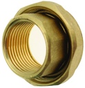 PUMP VALVE UNION TO 1" FEMALE SHORT